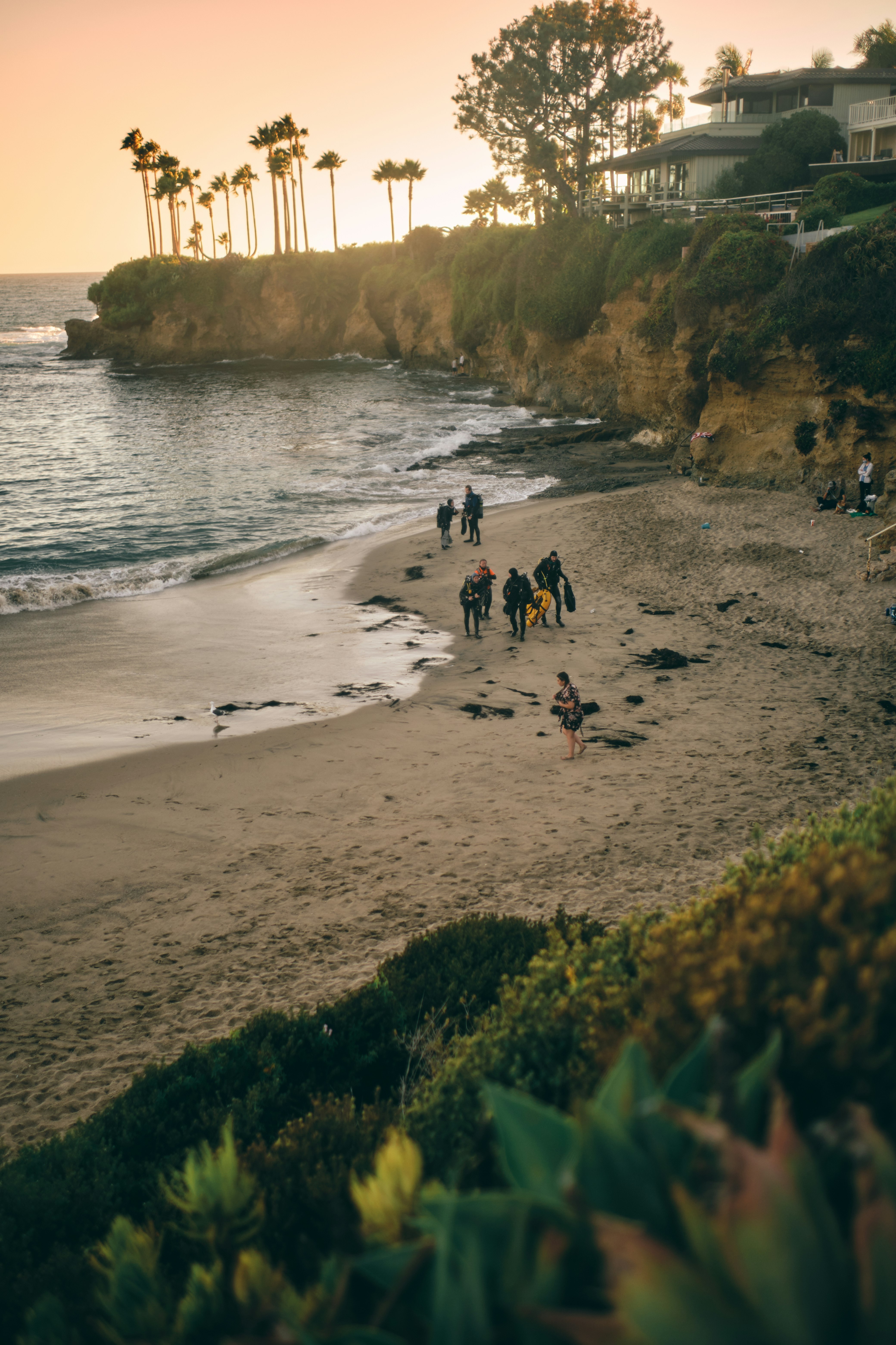 people on beach during daytime